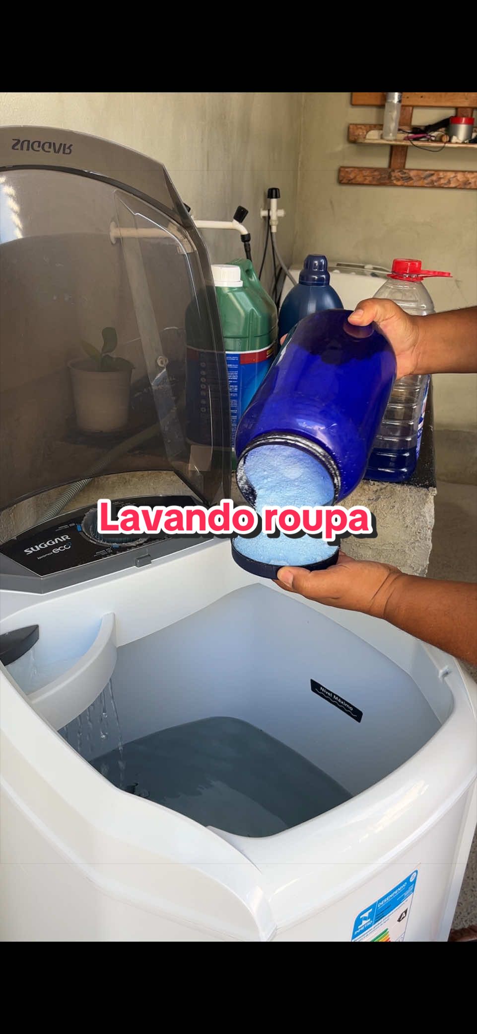 @Regiane