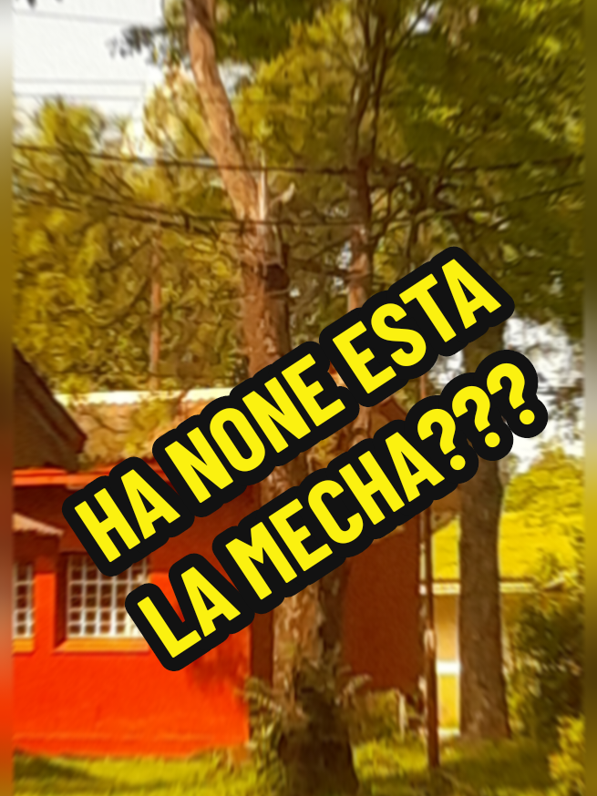 @Cesar Dominguez
