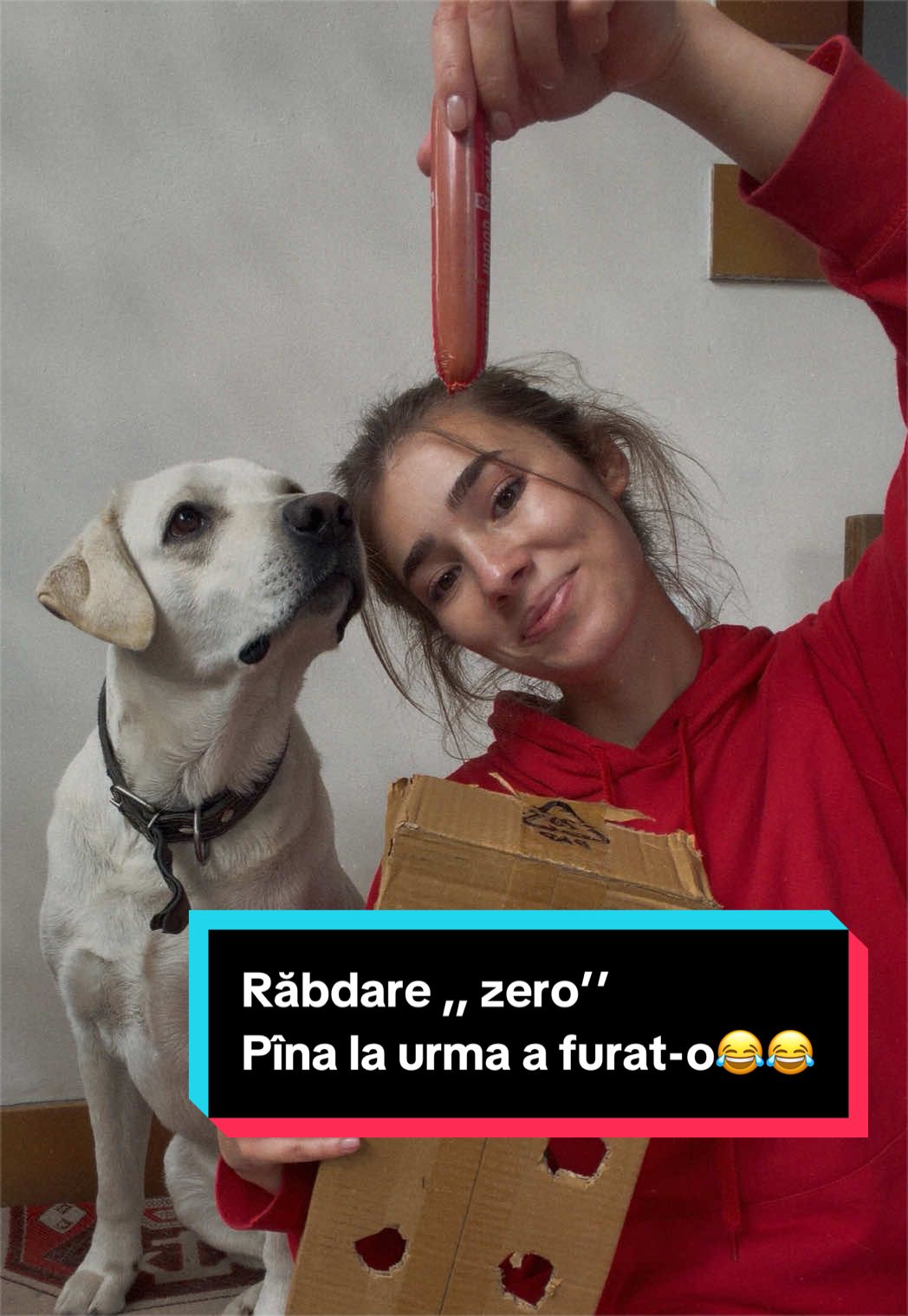 @Larisa🐾Taison