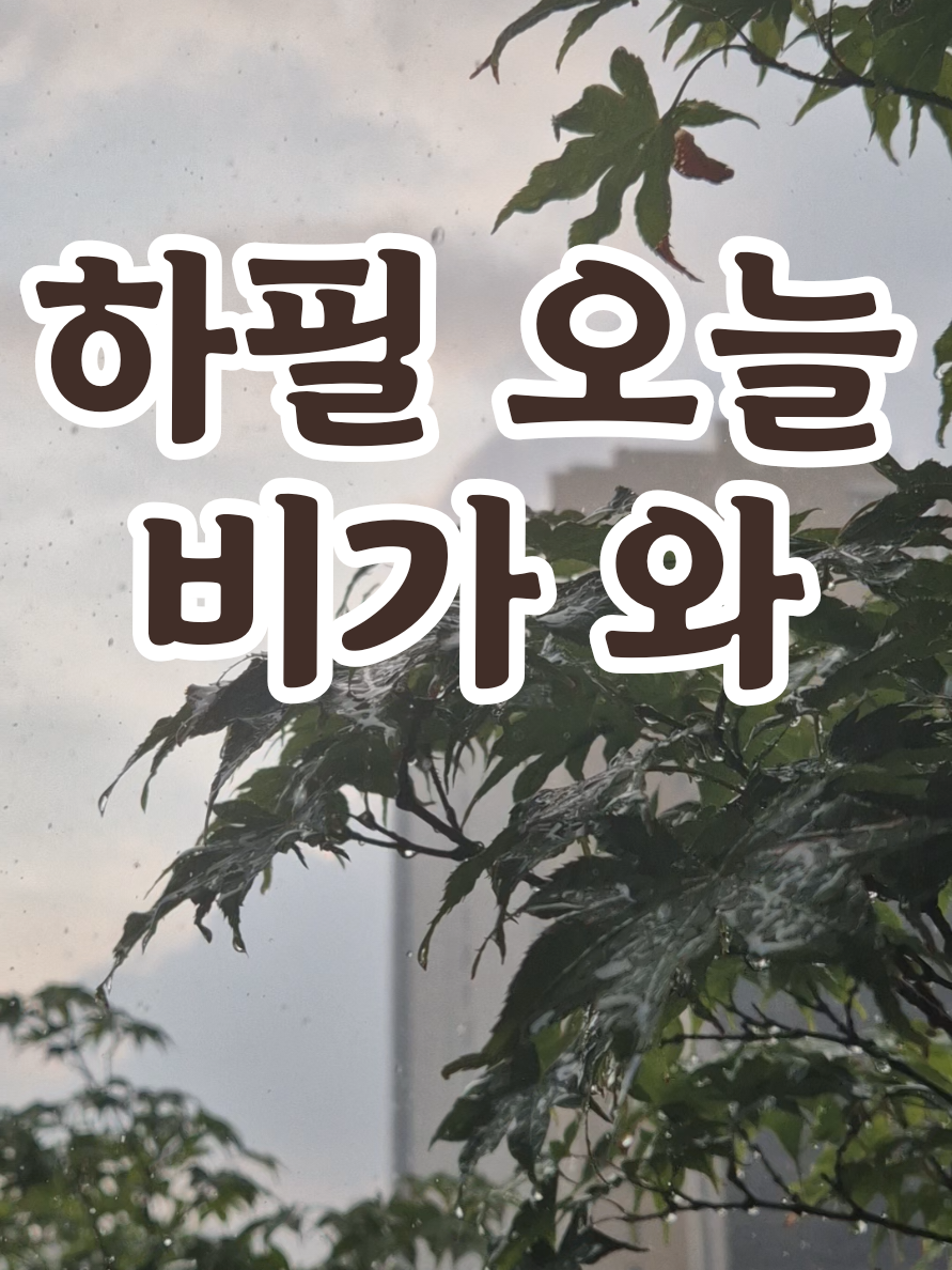 @송화찌