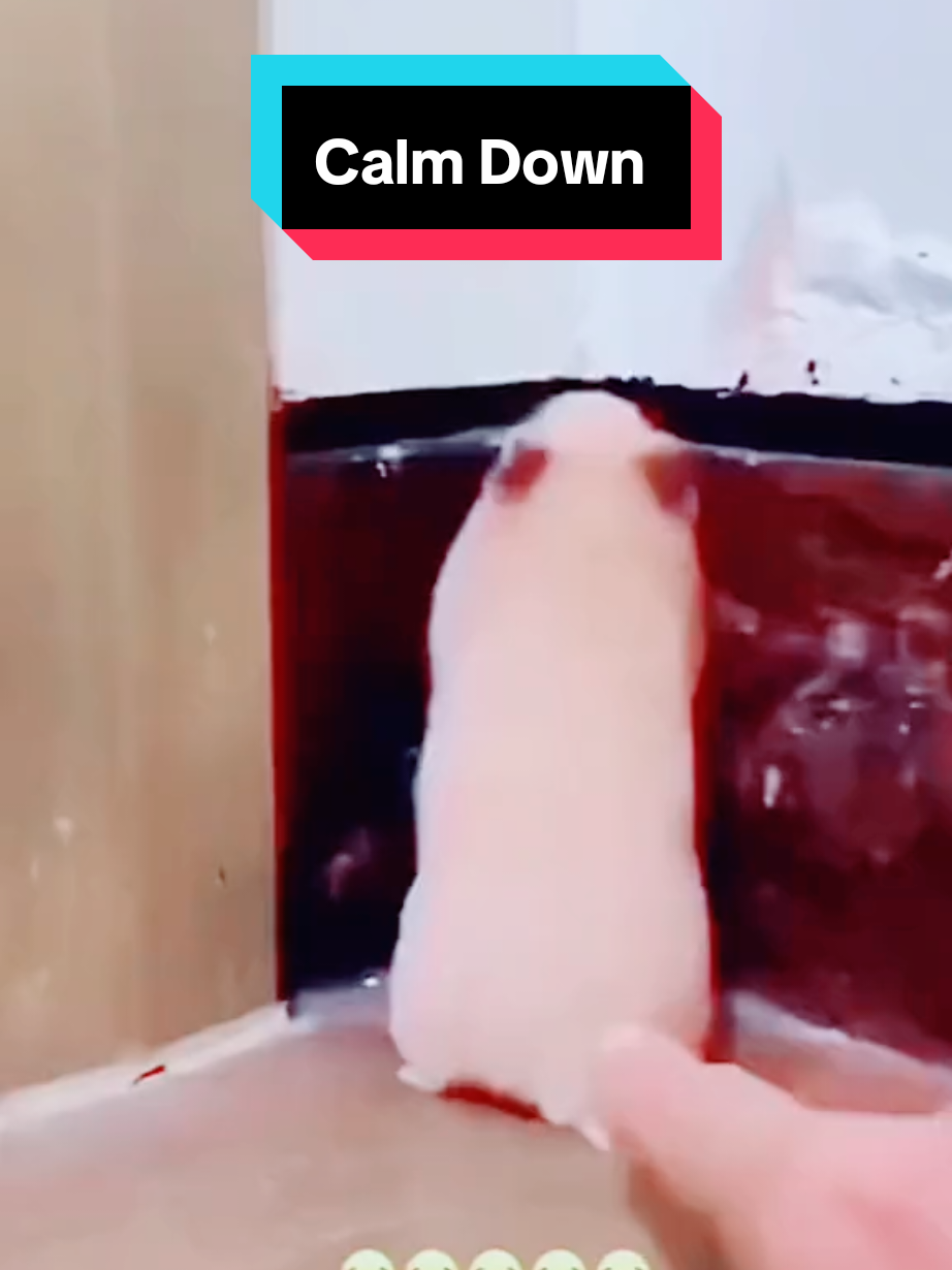 @Ken_Sim79