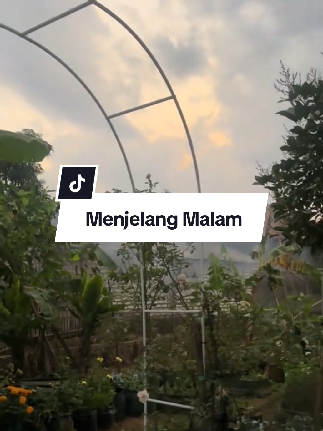 @Cess Garden 🌱