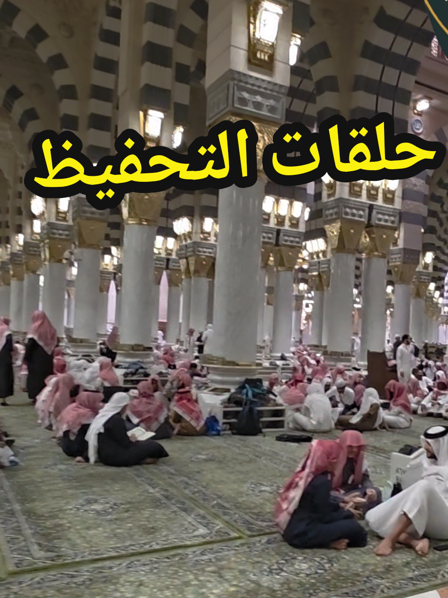 @سعود من المدينة المنورة 🛑