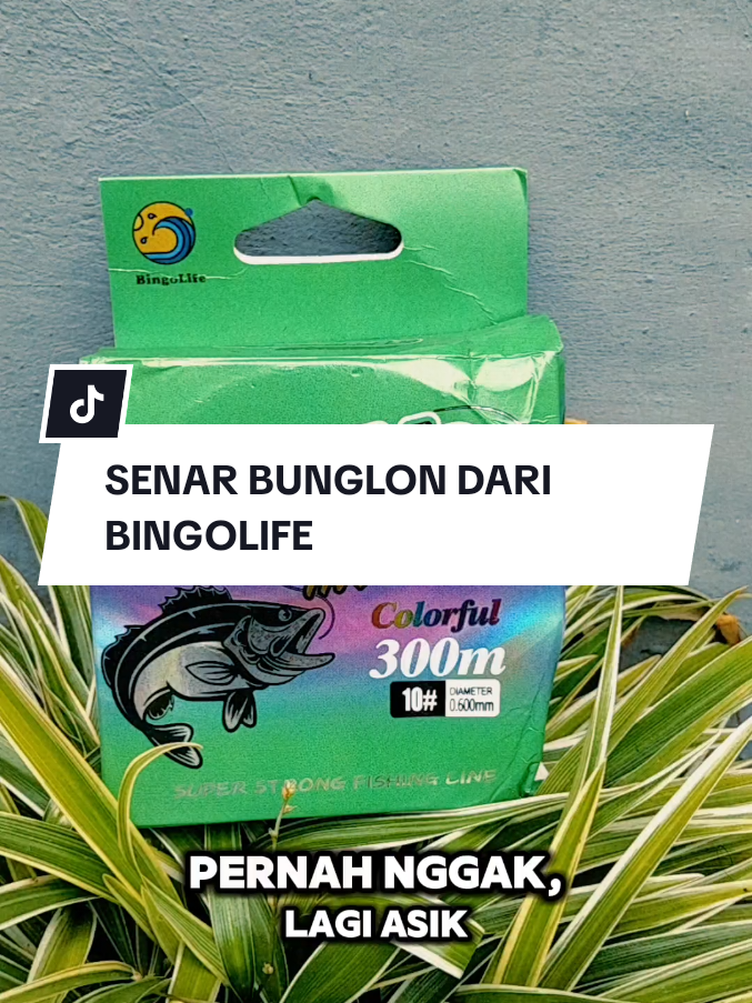 @Pancing Online