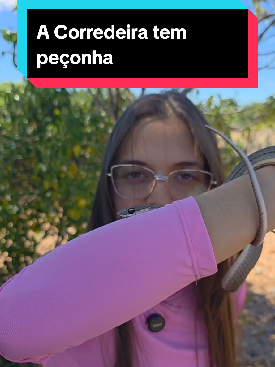 @Princesa das Serpentes