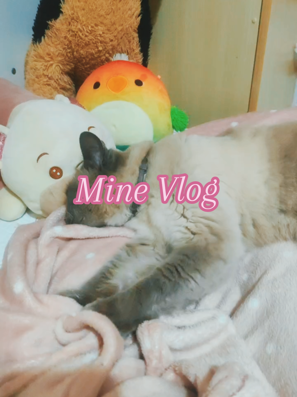 @~๐ ๐๐๐ฏโ ๐~