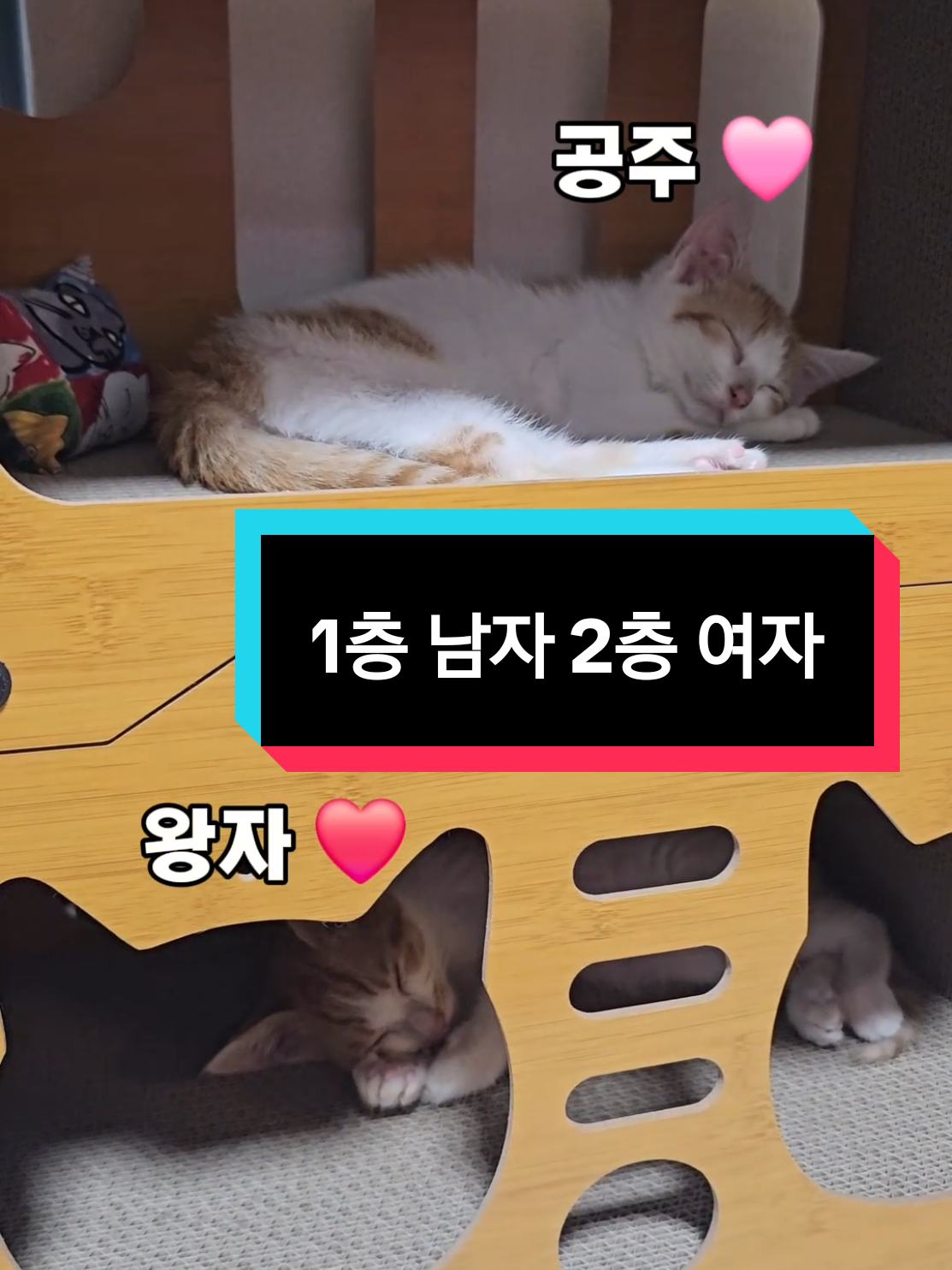 @๐ฉ์ด์์ฌ×234๐ฉ