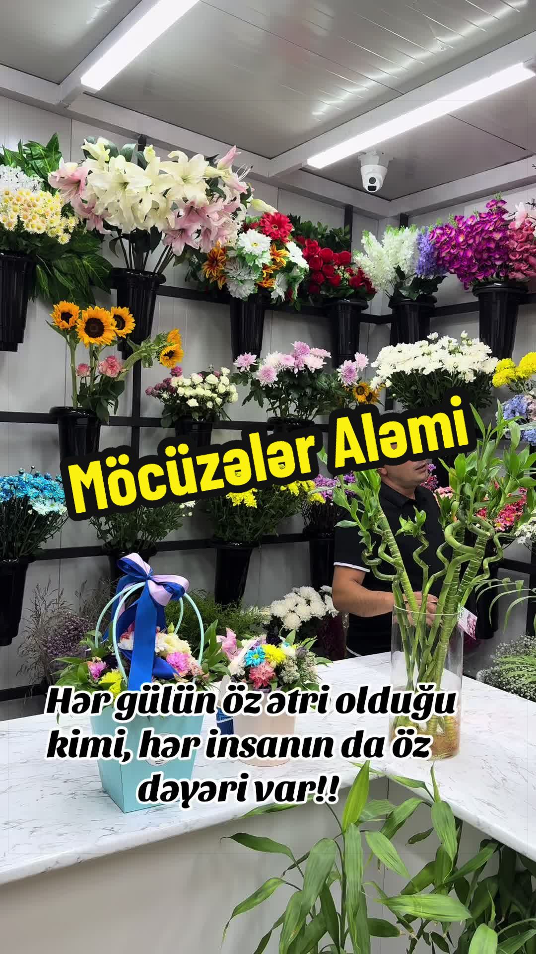 @pervin.abdullayev