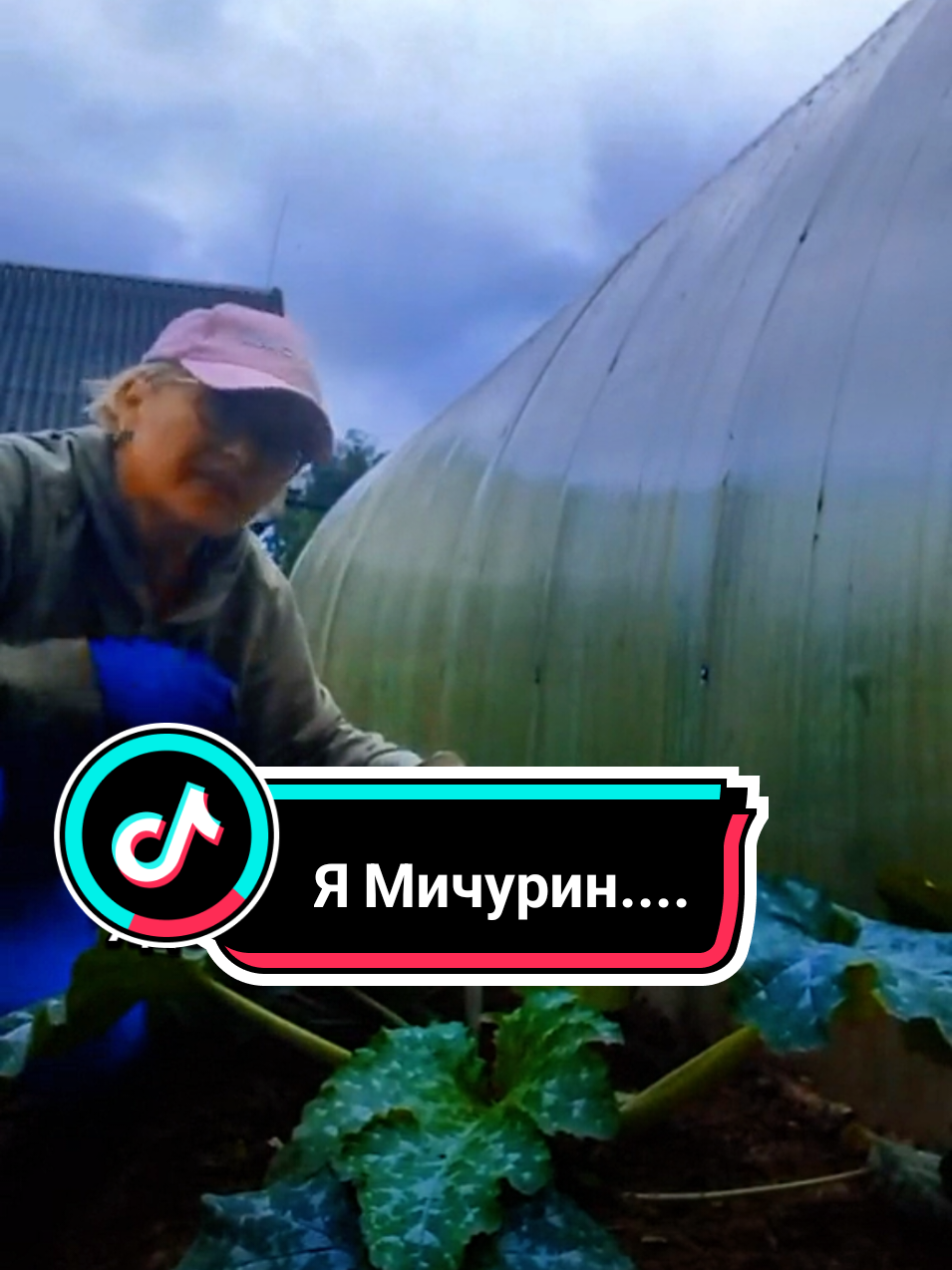 @Lina