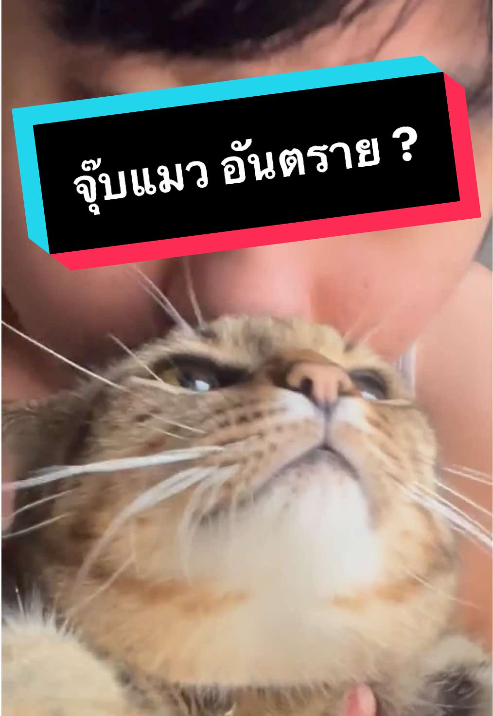 @ไอ้ดอน