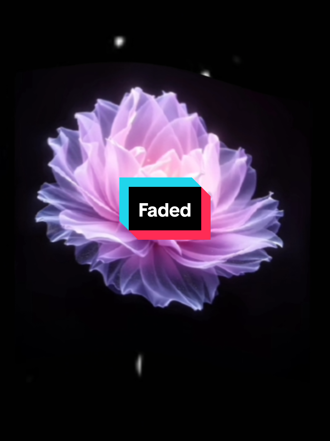 @๐๐๐ ๐๐ข๐ค๐๐ฒโ