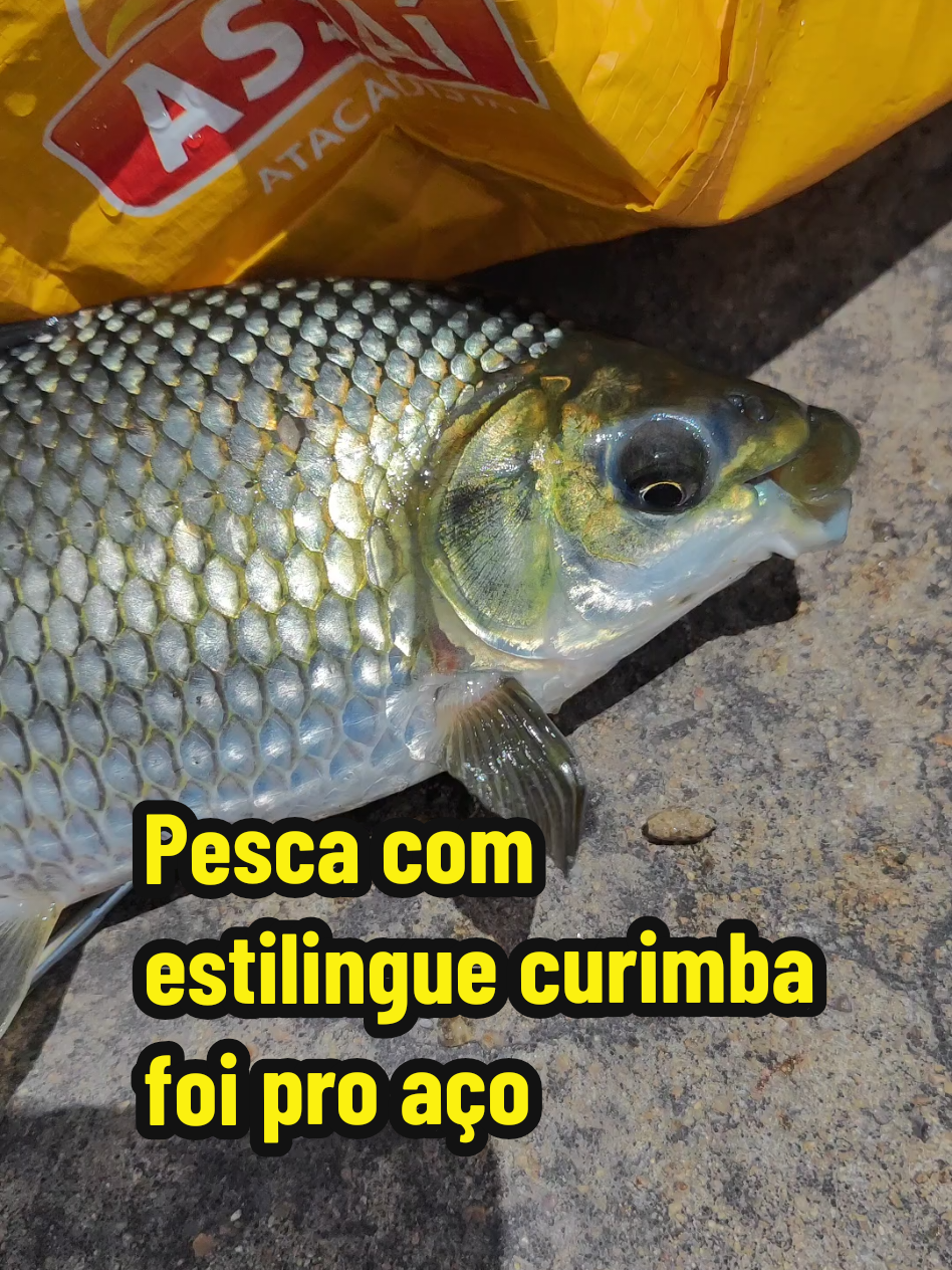 @Joildo Araujo