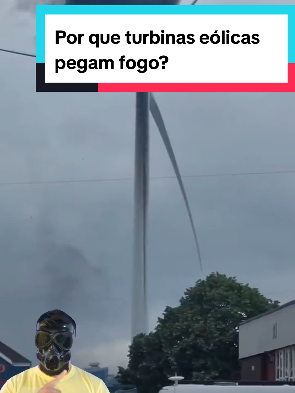 @Mundo da Curiosidades