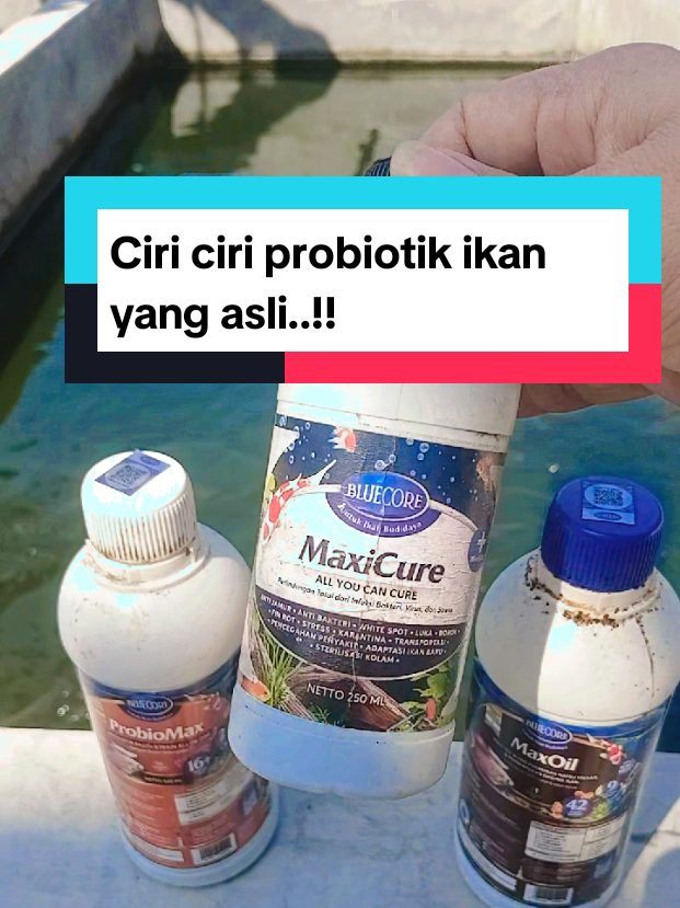 @Kang_Ewi