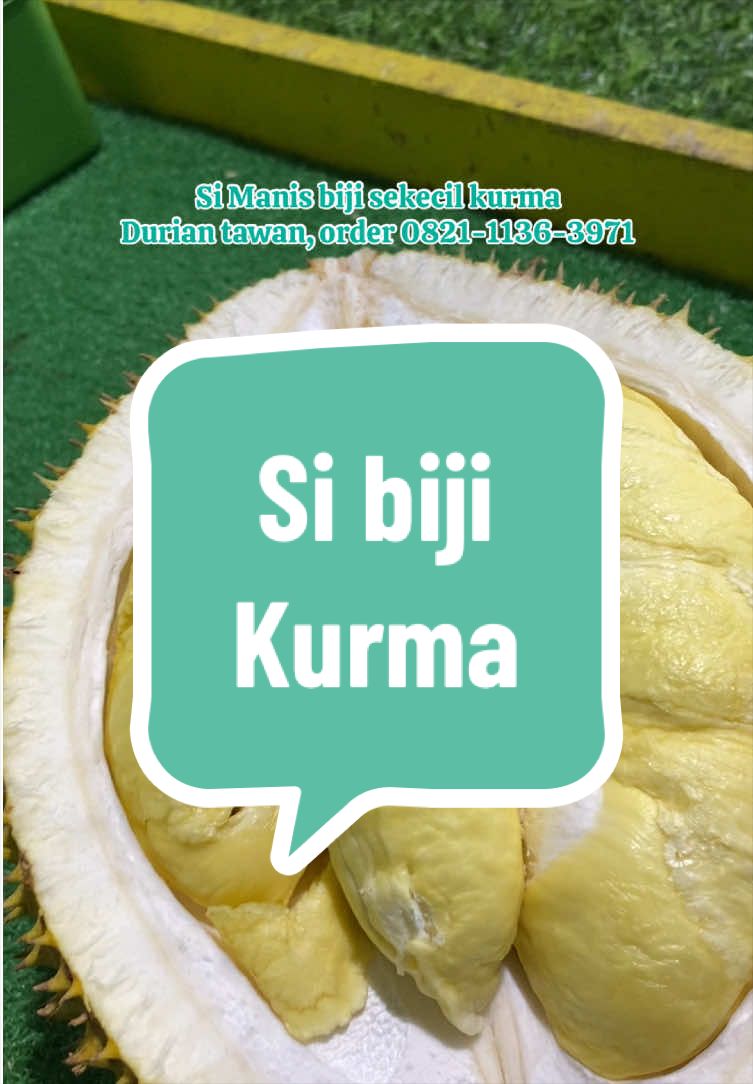 @Rumah Tamma Durian