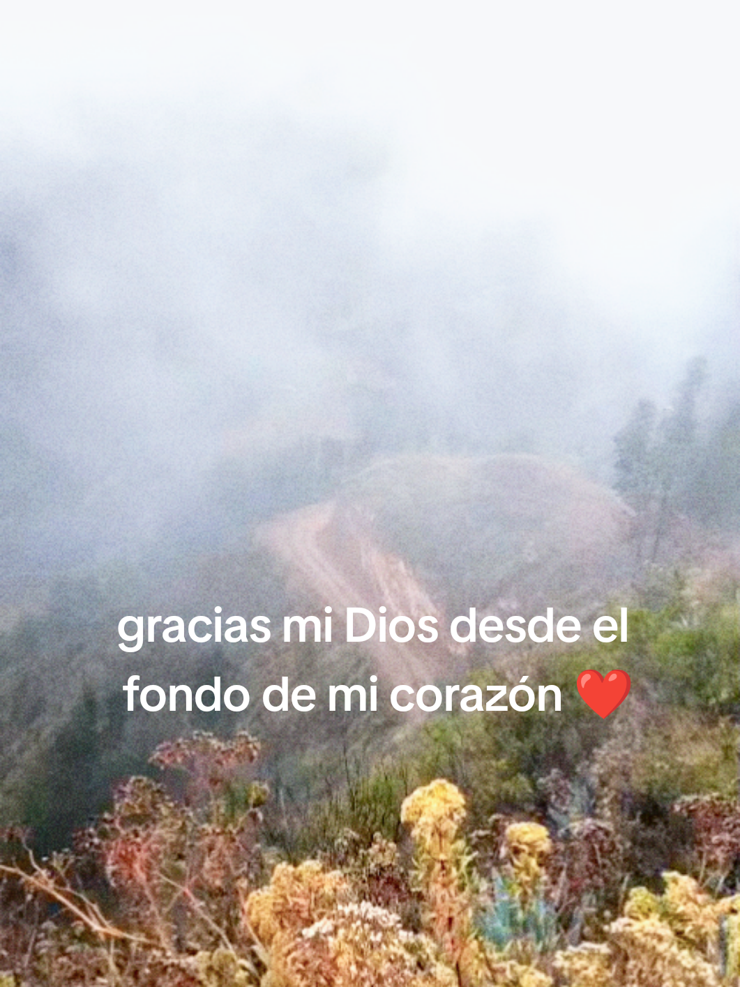 @@Teo Rodriguez