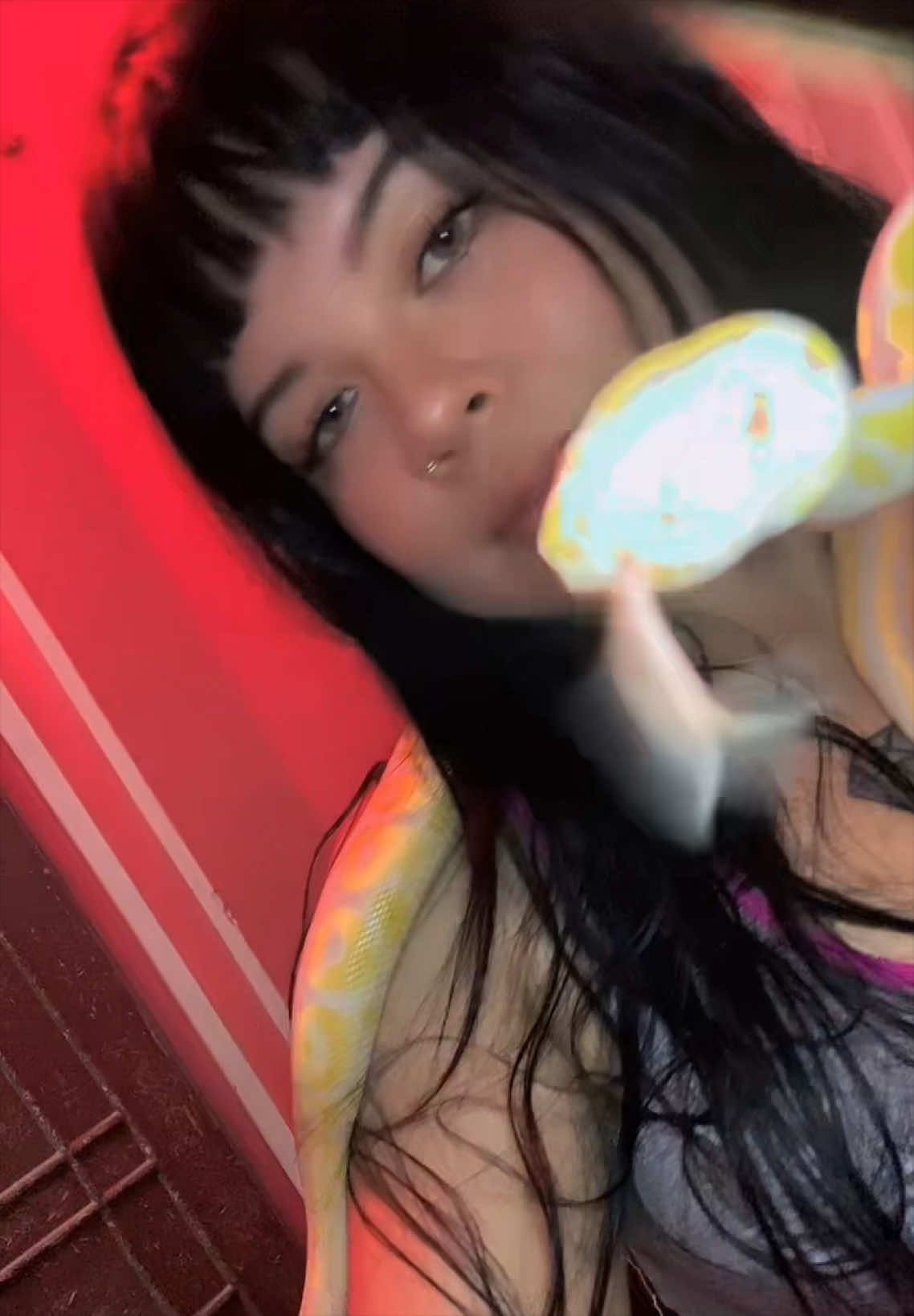 @Ibonne Guzmán 💎🐍
