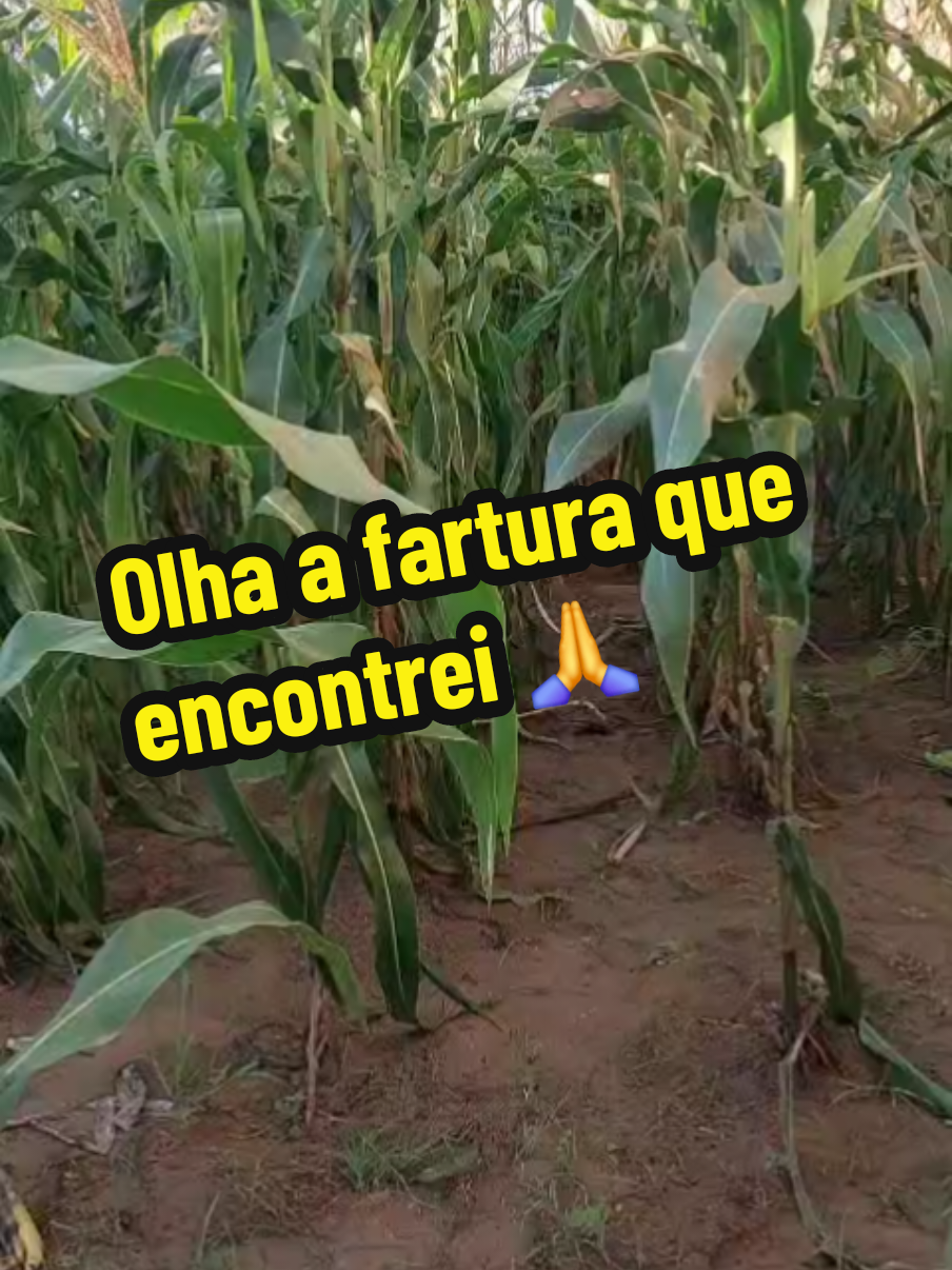 @Kary Brito.oficial 👑