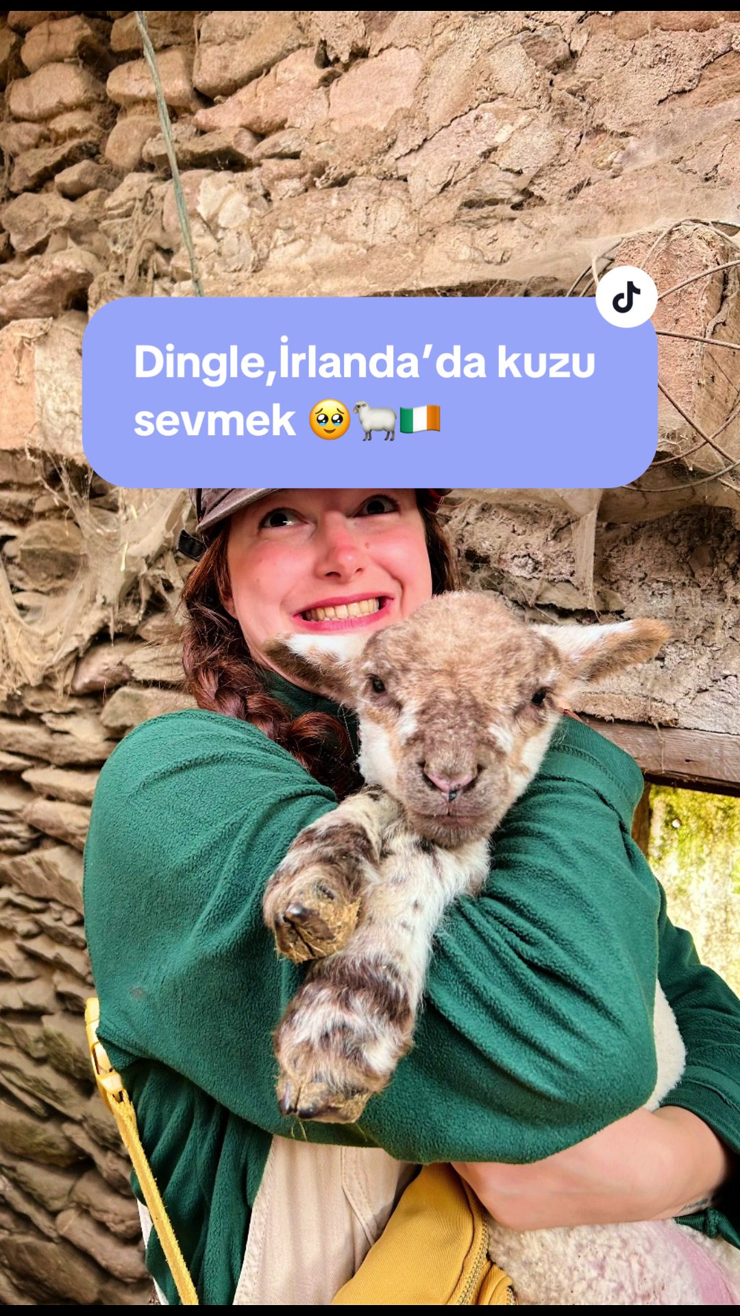 @Ayşe Çuhadar