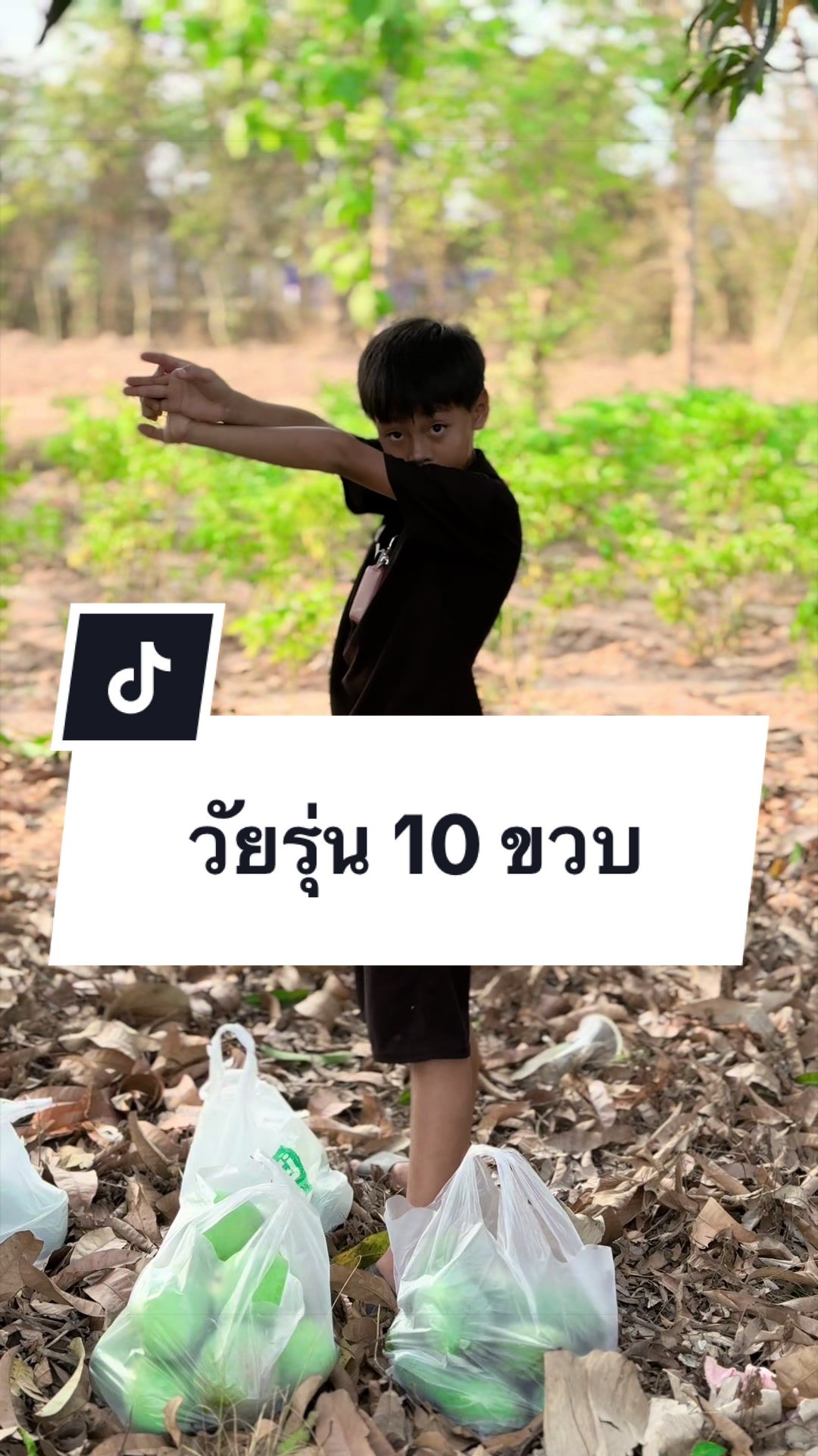 @เสื้อลูกไม้ PK พรรณราย