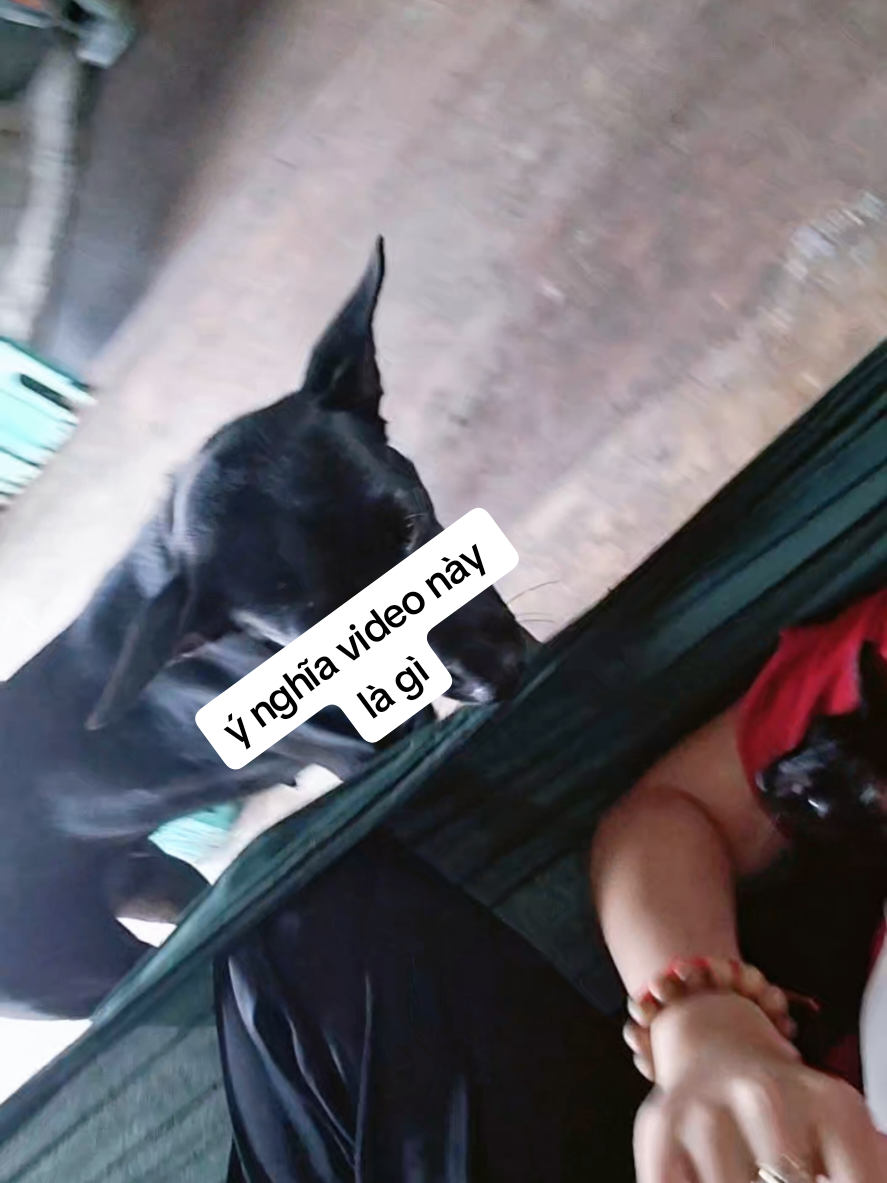 @Bích Hồng 🍇🌸🐱🪷