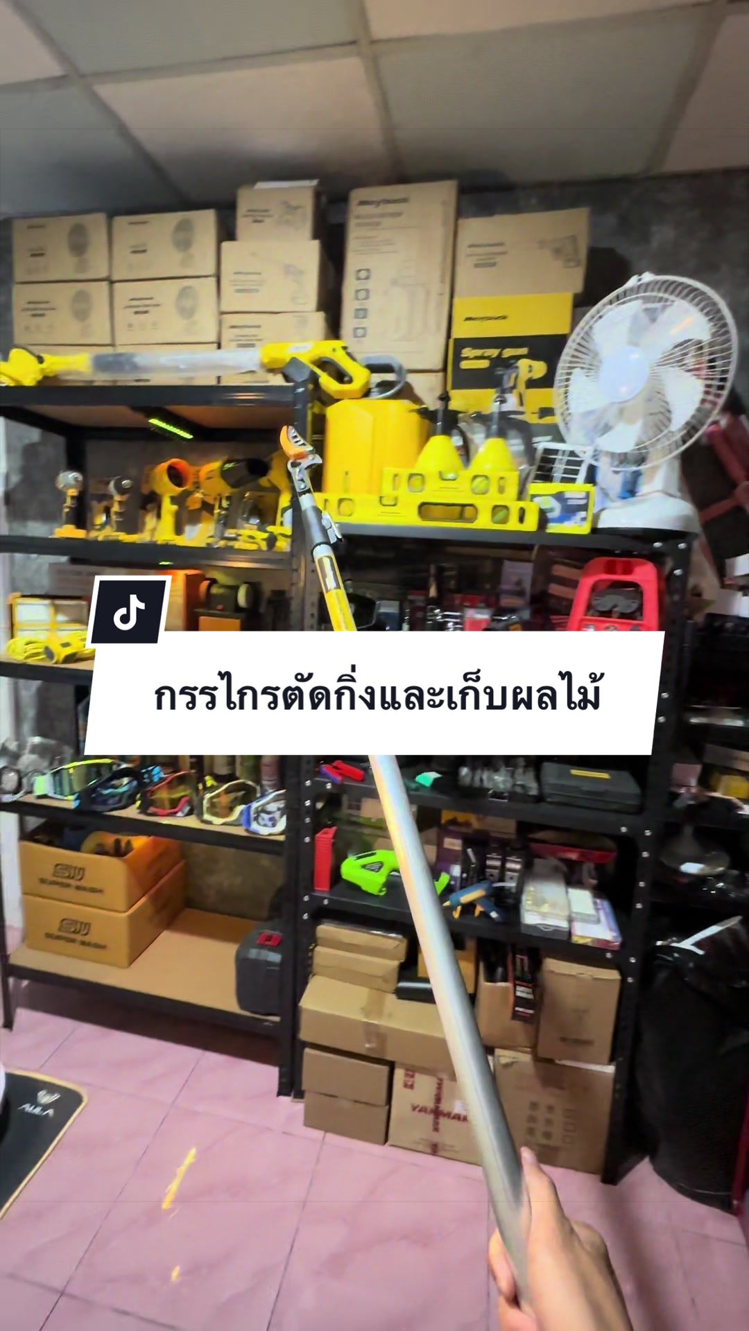 @อาเฮียหลี อาหลีเฮีย
