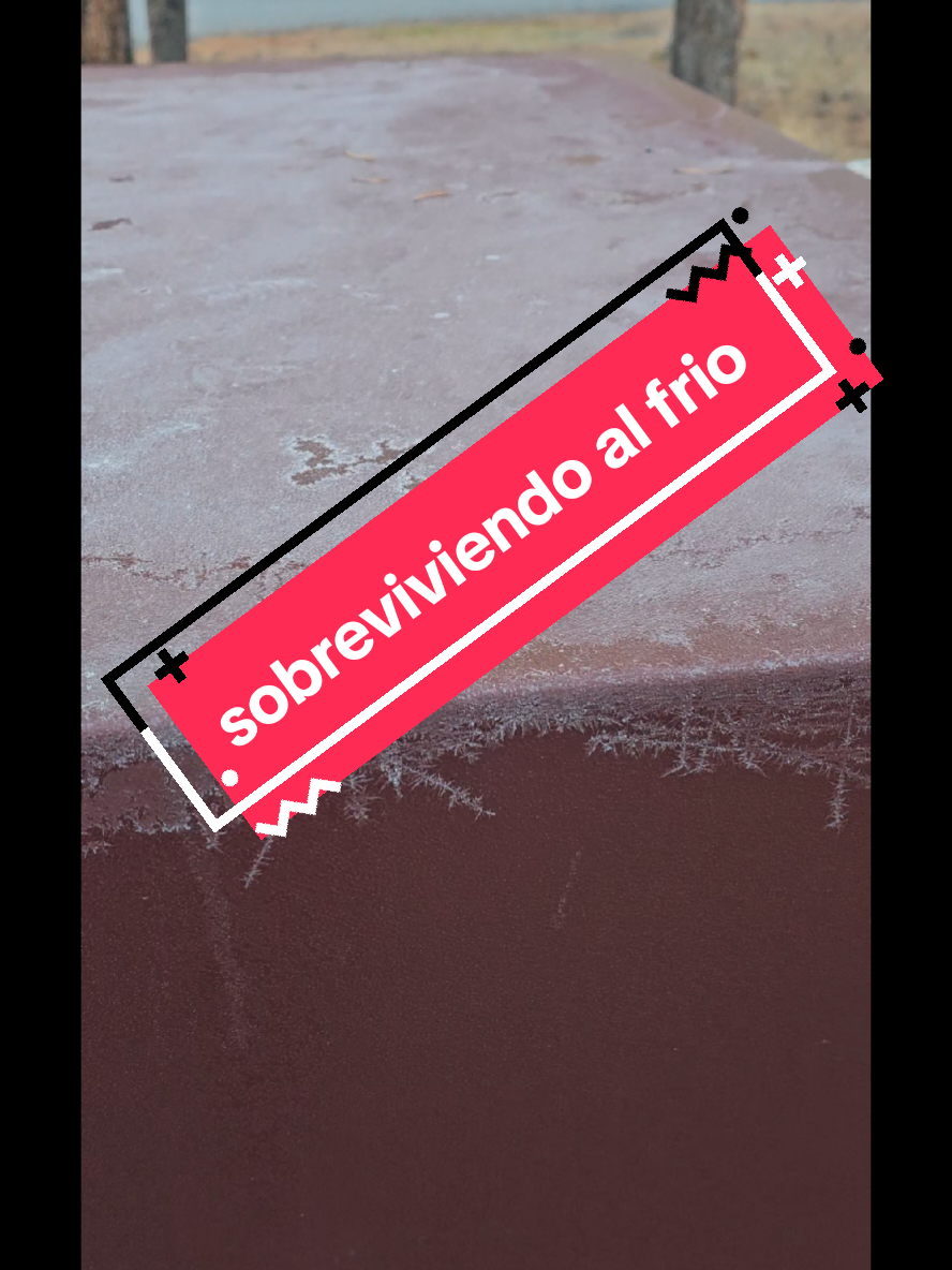 @Rebollita.aventurera