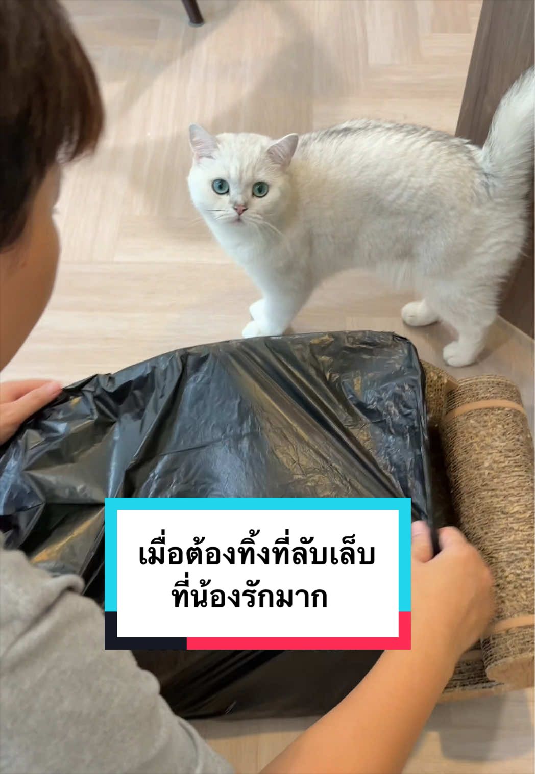 @คิมบับครับผม