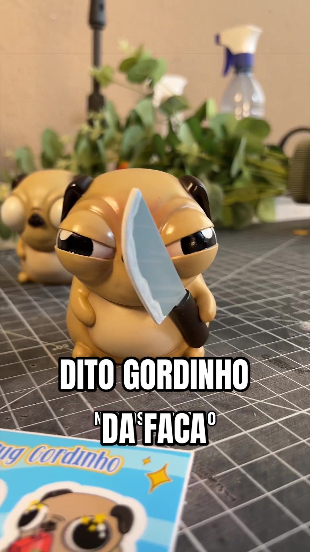 @Kaio Medau