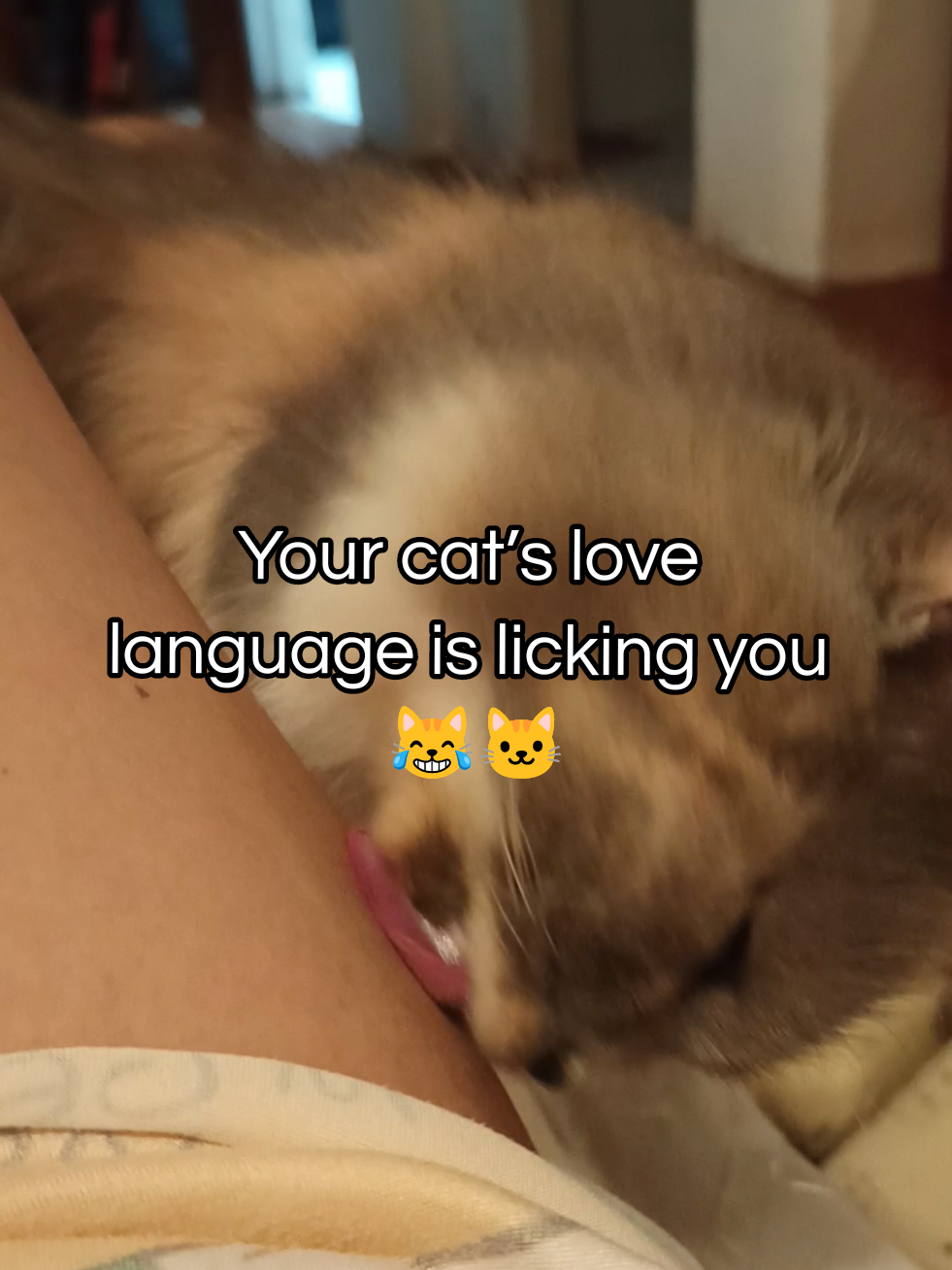 @TikToShoppers