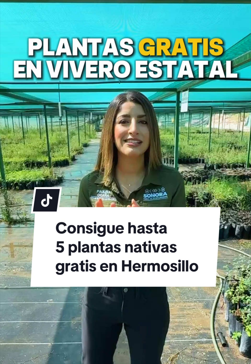 @Paulina Ocaña Encinas