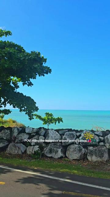@teinemelody 🇼🇸🇫🇯✨️