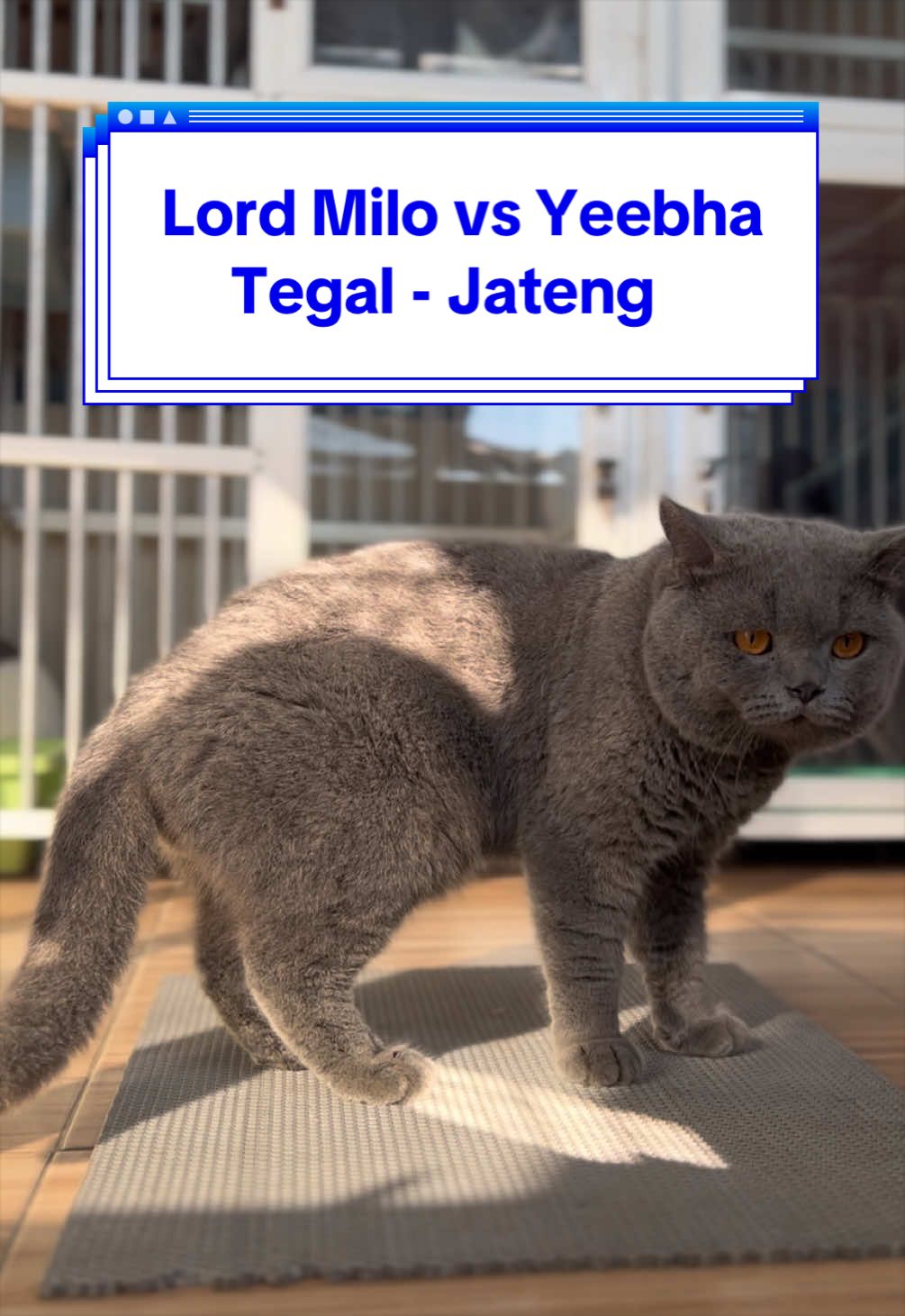 @Jasa Pacak BSH