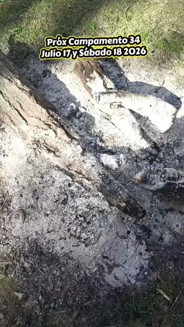 @AyahuascaparaTodosPeru