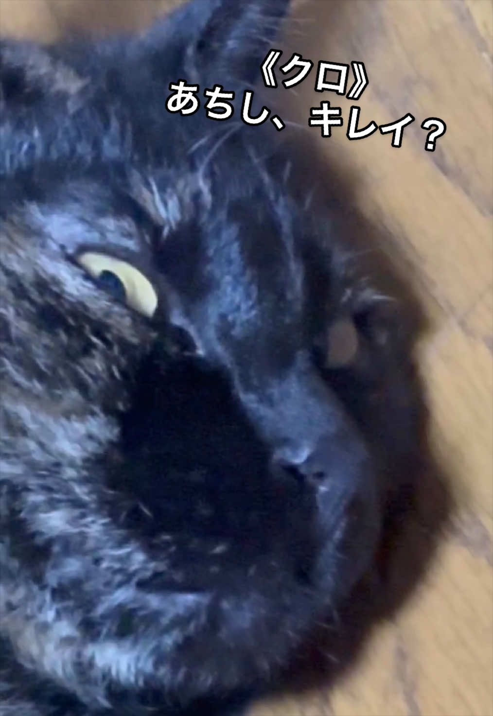 @聴々物語PROJECT