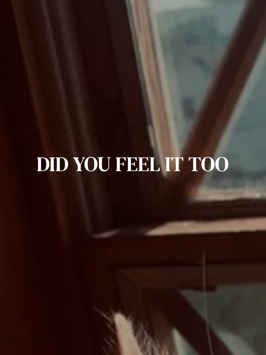 @❦ 𝐀𝐮𝐬𝐭𝐞𝐥