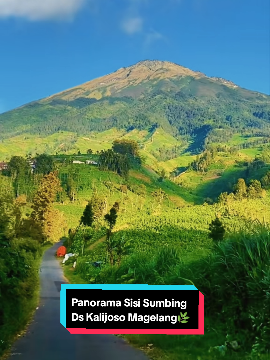 @SISI_SUMBING