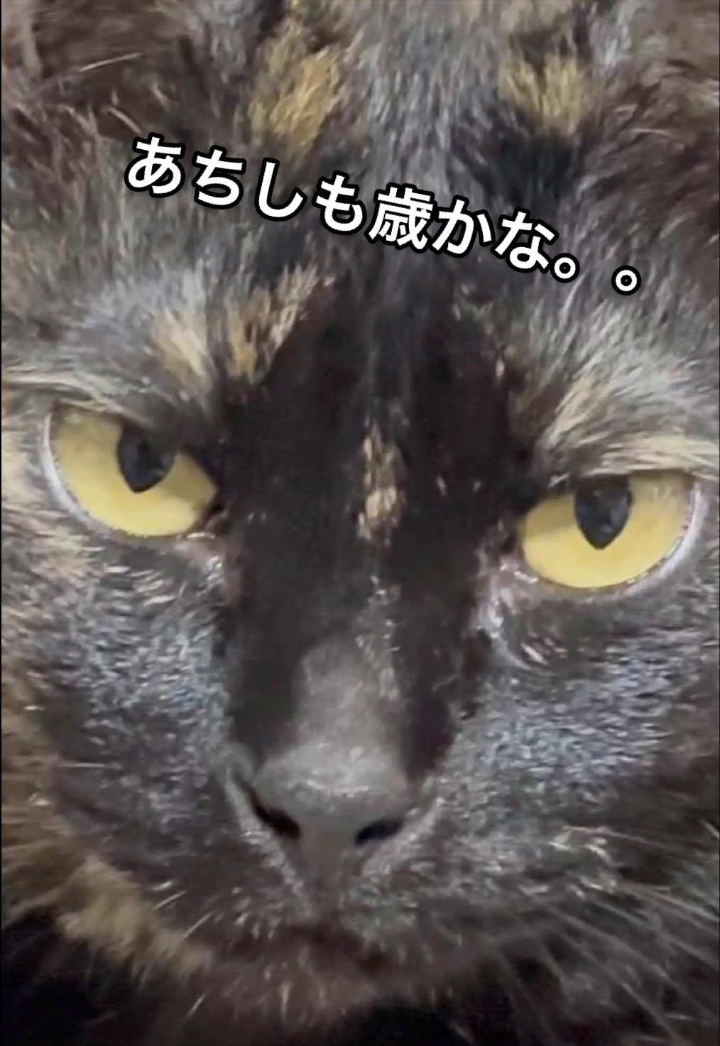@聴々物語PROJECT