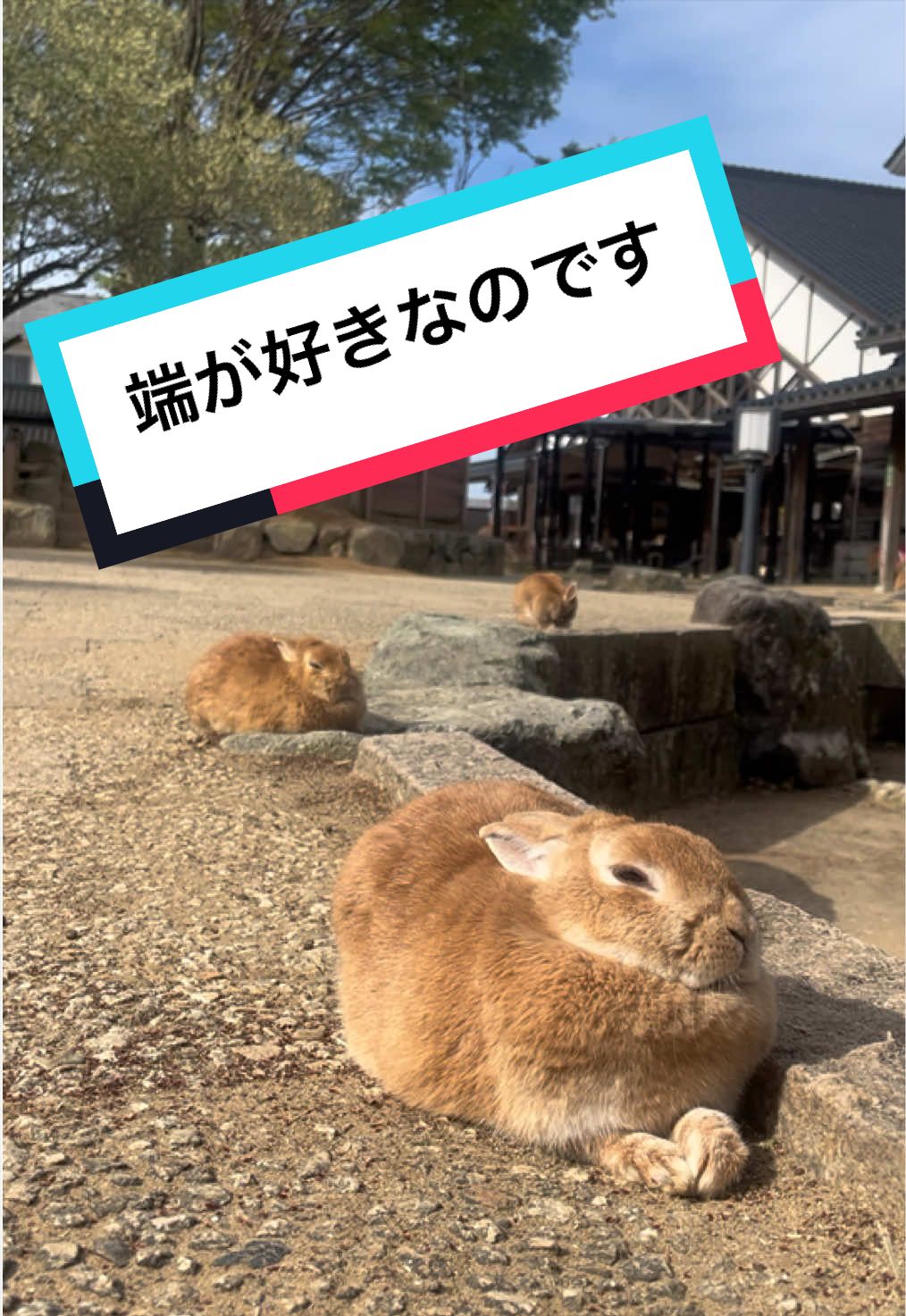 @【公式】月うさぎの里