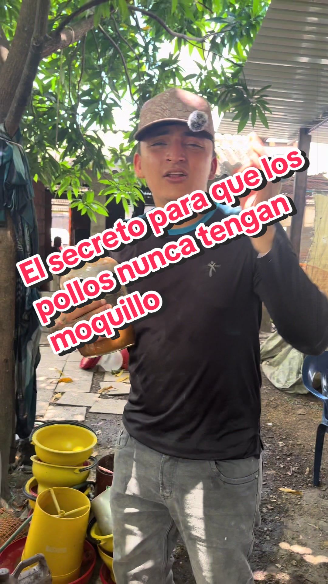 @elmagnatedelospollos