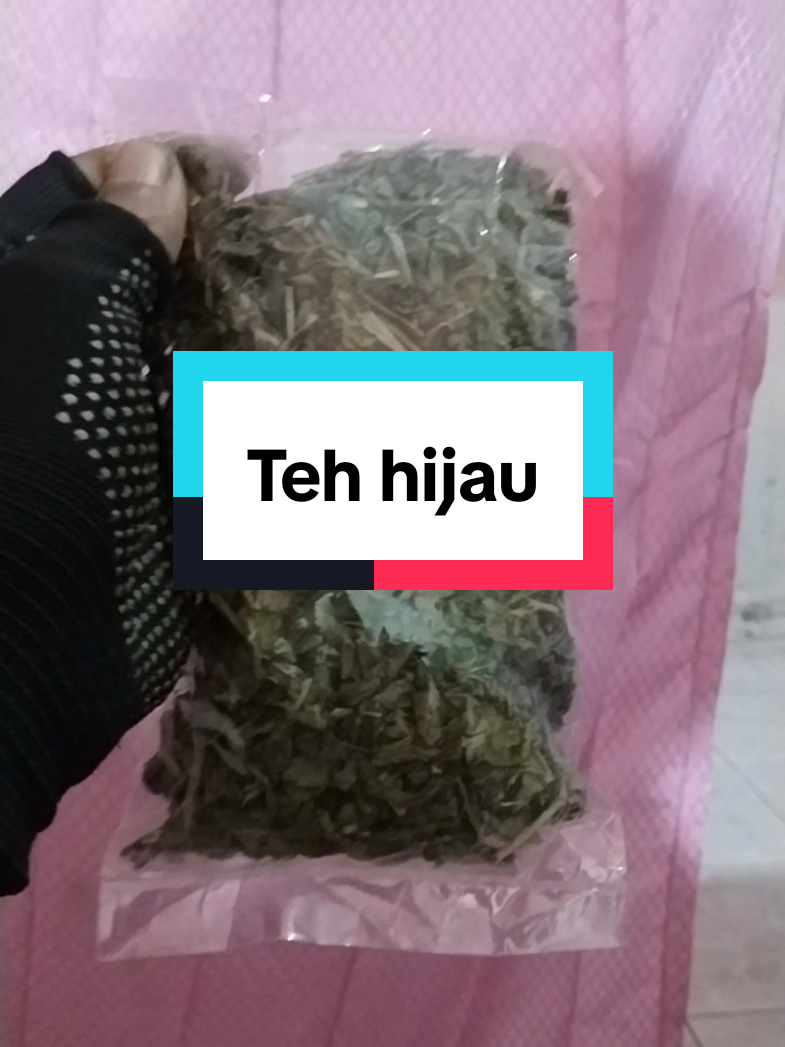 @WONK CEDAL R