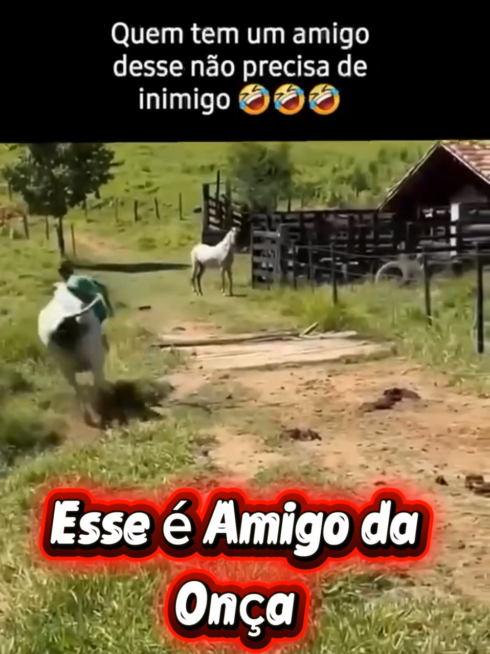 @TRAVEL PINGUIM