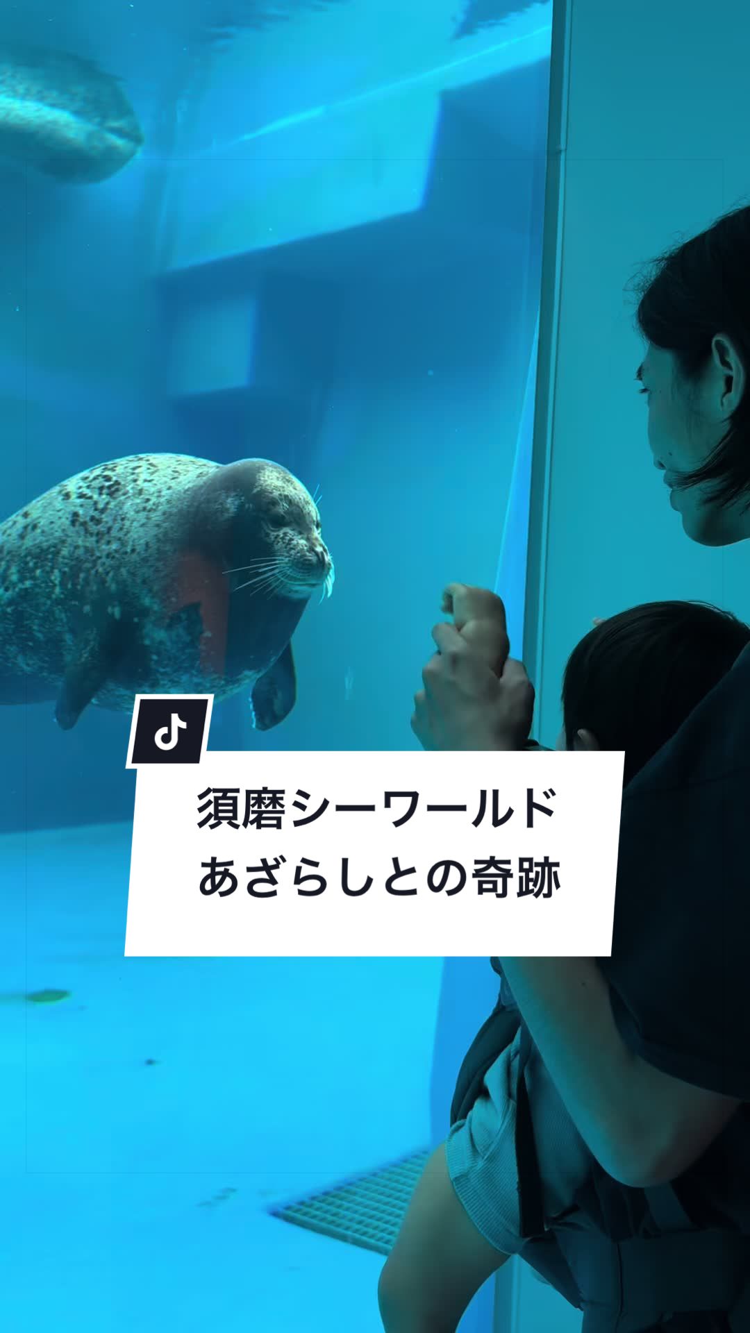 @さやんさ
