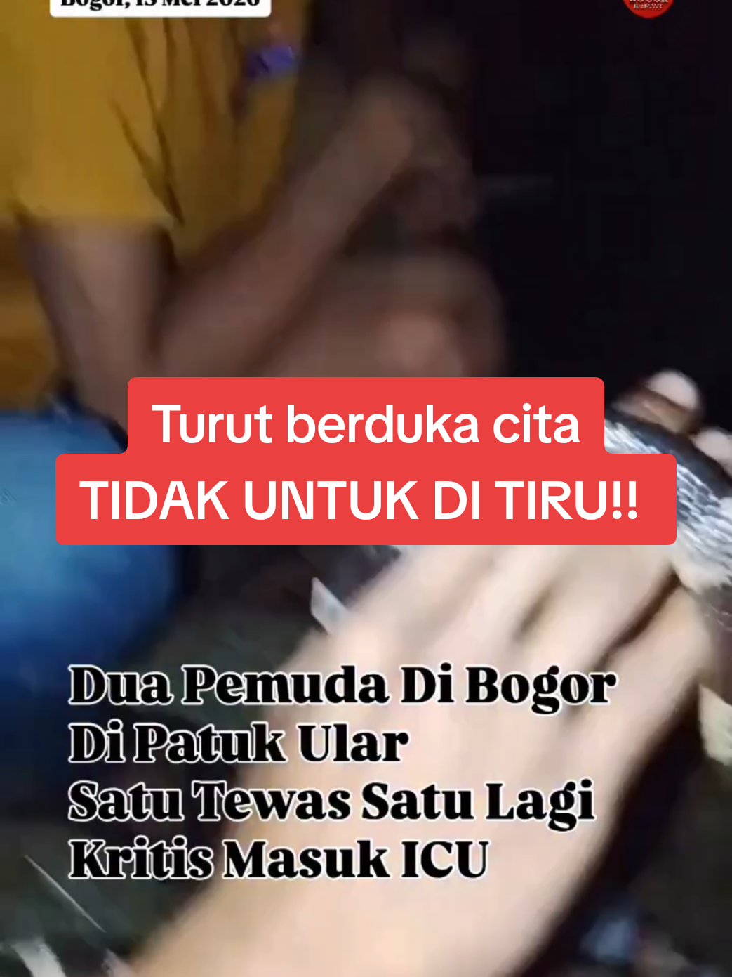 @Ketapel indonesia17