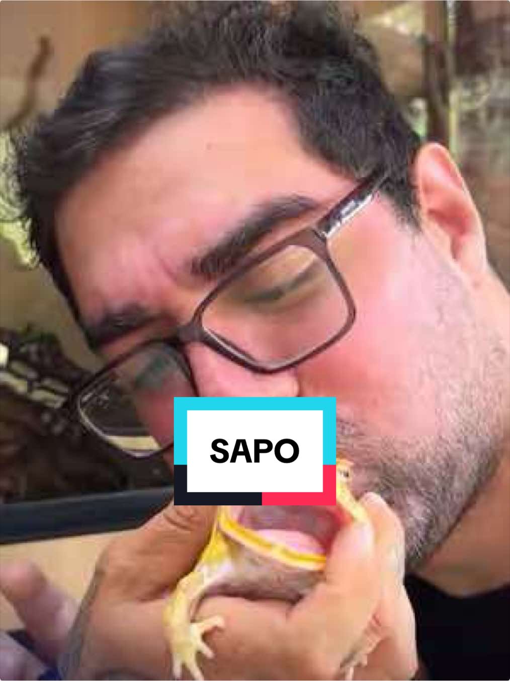 @The Noite