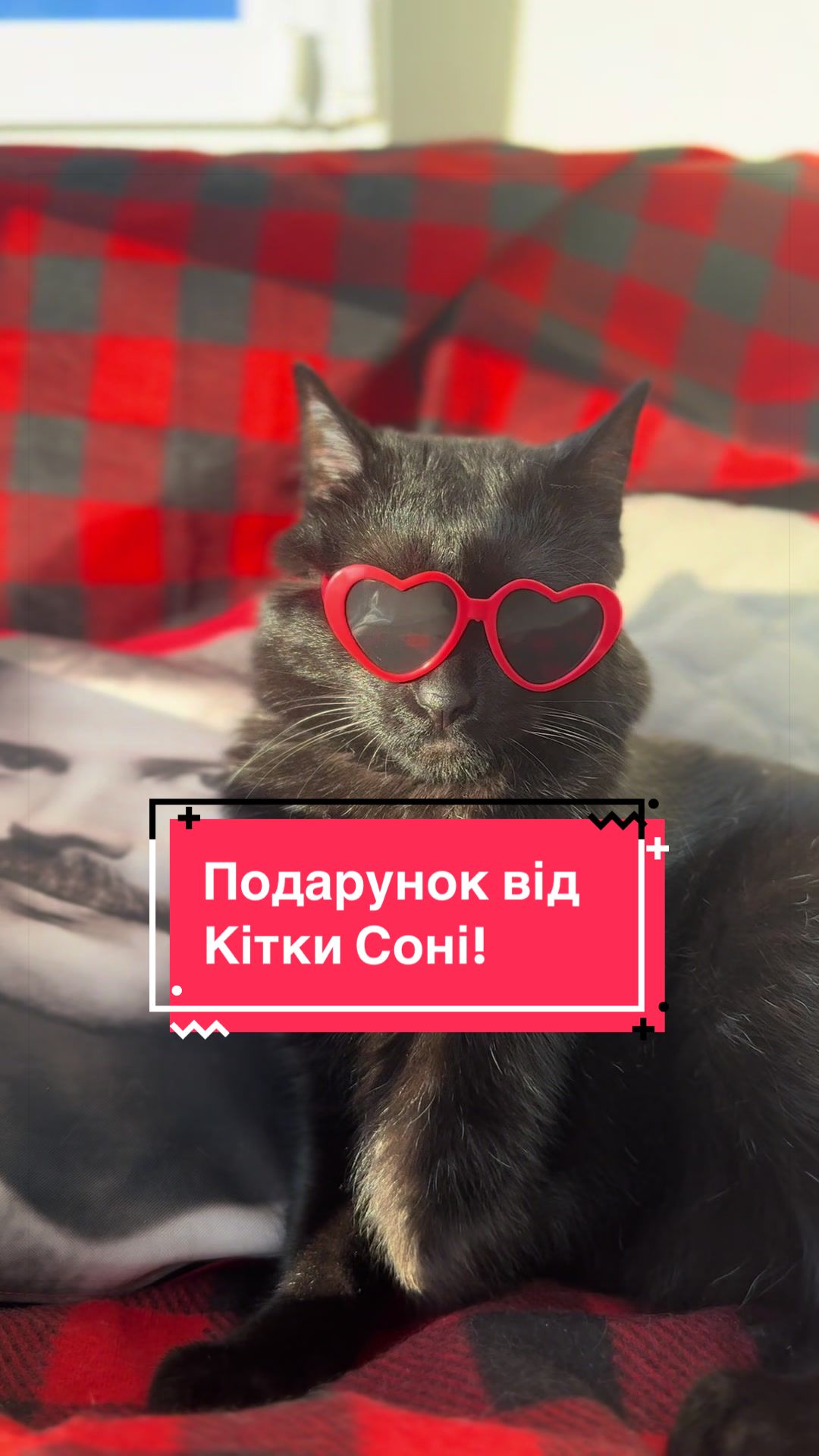 @Корнелія Удовенко