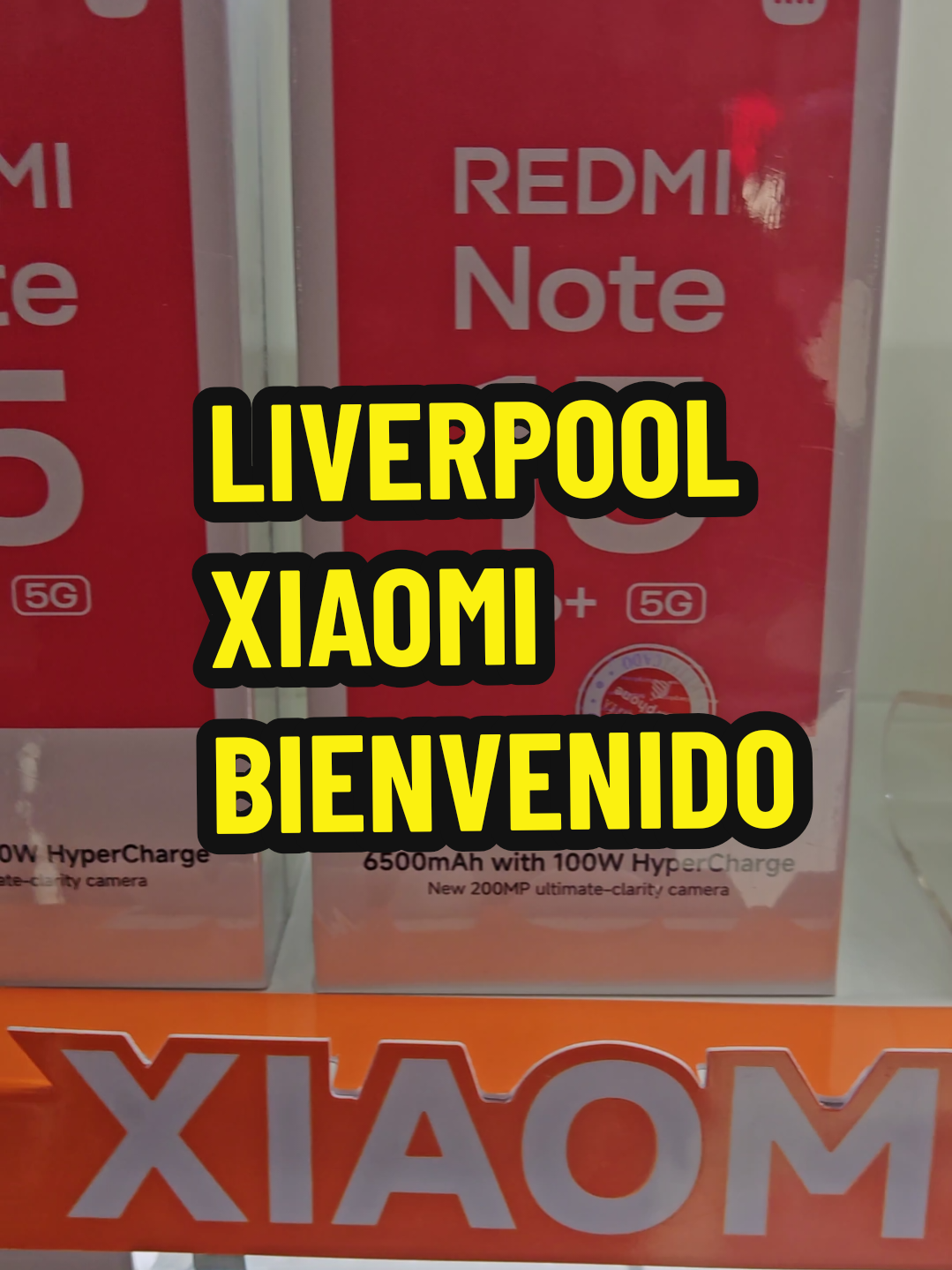 @liverpool bolivia