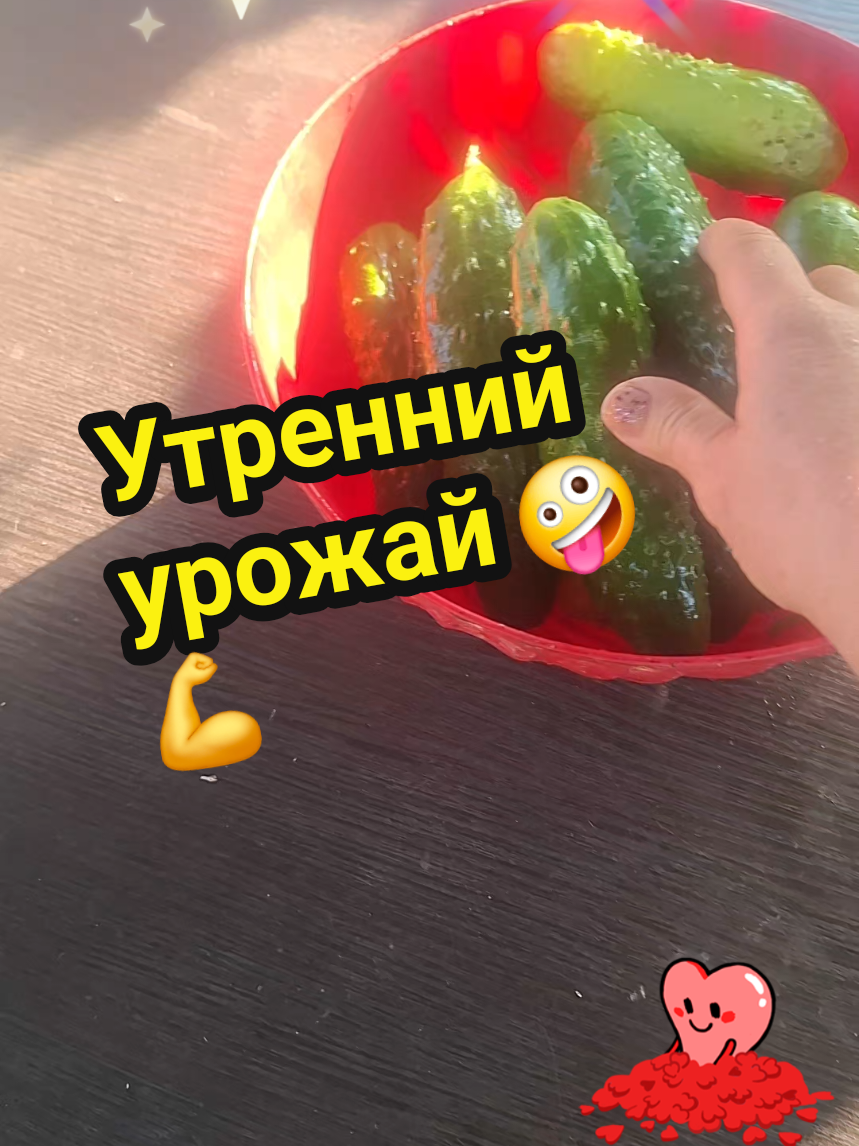 @💃Суперпуперсвета💘