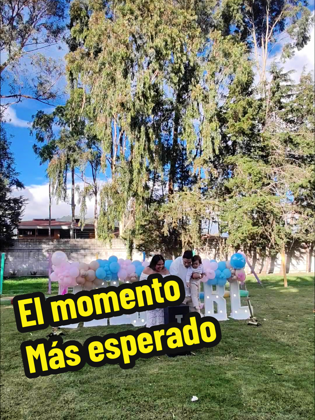 @Fiesta Neón y Revelación 🩵💗