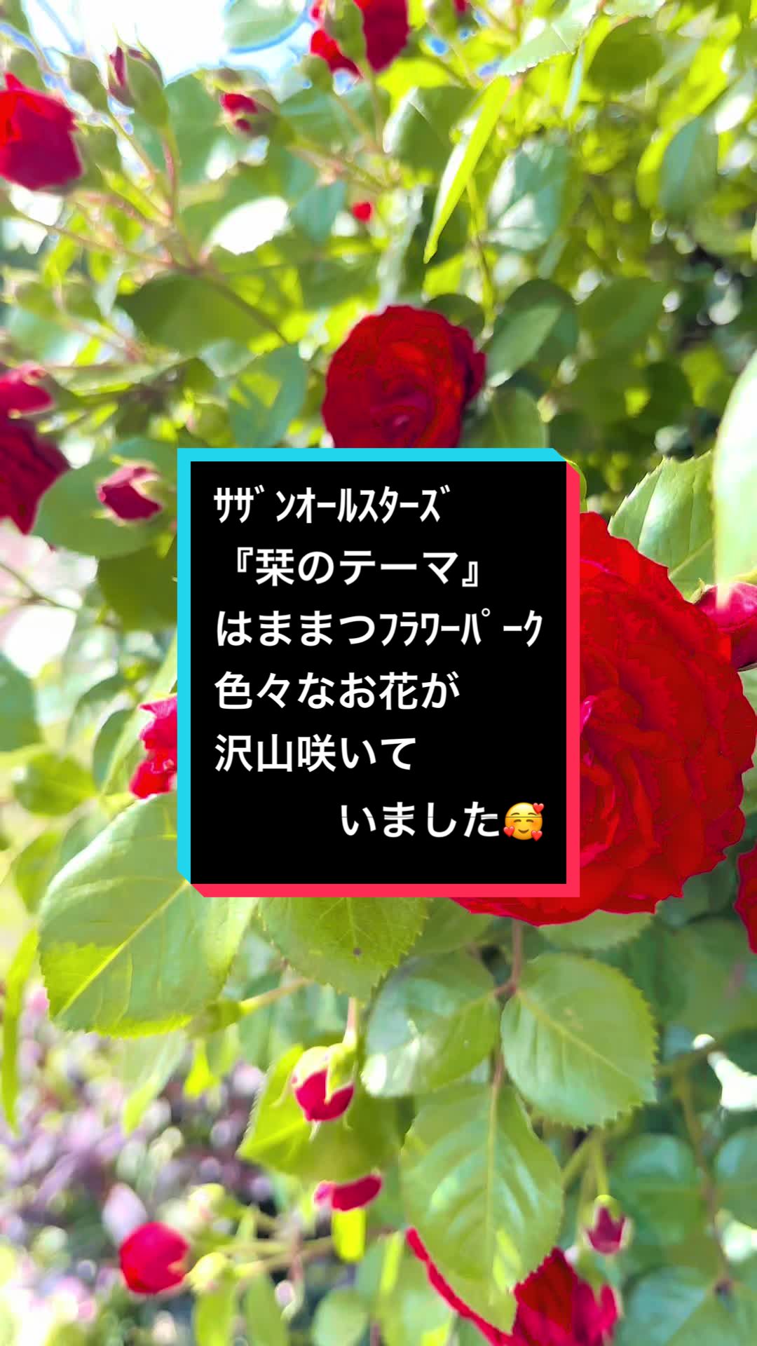 @ゆる